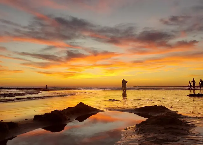 Jacaranda Playa Conil * קוניל דה לה פרונטרה